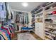 Organized walk-in closet offers ample storage with shelving and hanging space, along with a colorful rug at 29150 Beauclaire Dr, Tavares, FL 32778