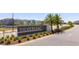 Silverleaf at Hamlin neighborhood entrance sign surrounded by palm trees and landscaping at 4994 Citrus Leaf Blvd, Winter Garden, FL 34787