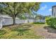 Enjoyable backyard featuring a large shade tree, white privacy fence, and trampoline for outdoor fun at 14209 Lake Live Oak Dr, Orlando, FL 32828