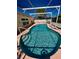 A serene pool with clear, inviting water and a screened enclosure for year-round enjoyment at 6037 Hickory Grove Ln, Port Orange, FL 32128
