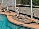 Decorative accents by the pool like a seahorse statue and stones at 6037 Hickory Grove Ln, Port Orange, FL 32128