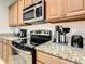 Close-up of a kitchen featuring granite countertops, stainless steel appliances, and ample cabinet space at 8845 Candy Palm Rd, Kissimmee, FL 34747