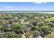 Aerial view of the neighborhood with mature trees and nearby lakes at 9548 Crown Prince Ln, Windermere, FL 34786