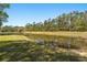 Scenic view of a tranquil pond surrounded by lush trees and greenery at 1185 Cypress Loft Pl, Lake Mary, FL 32746