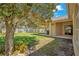 View of the backyard featuring a covered patio, mature tree, green grass and partial white picket fence at 10027 Hart Branch Cir, Orlando, FL 32832