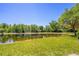 Scenic pond view with lush greenery under a clear blue sky, offering a serene setting at 16241 Old Ash Loop, Orlando, FL 32828