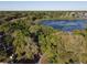 A unique view of the property from above, showcasing the lake and community surrounded by lush trees at 278 Silverstone Dr, Orange City, FL 32763