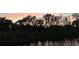 A serene lake view at dusk features the trees silhouetted against a colorful sky at 278 Silverstone Dr, Orange City, FL 32763