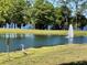 Scenic pond with fountain and heron, enhancing the community's natural charm and appeal at 3384 Corona Village Way # 202, Orlando, FL 32835