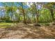 Picture of a secluded backyard with mature trees, and natural landscaping with lots of space for activities at 1120 Sheeler Ave, Apopka, FL 32703