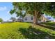 Expansive backyard with lush lawn and mature trees, perfect for outdoor enjoyment at 1521 Gants Cir, Kissimmee, FL 34744