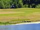 Picturesque golf course view featuring an alligator sunning on the green and golf cart in the background at 1530 Lexington Av Ave, Davenport, FL 33837
