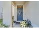 A welcoming front door with a decorative wreath and potted plants at 1932 Red Canyon Dr, Kissimmee, FL 34744