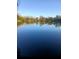 A scenic view of the lake at 407 E Jersey St, Orlando, FL 32806