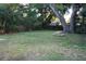 Lush backyard featuring mature shade trees and ample green space for outdoor activities at 613 20Th St, Orlando, FL 32805