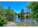 Scenic pond view surrounded by lush landscaping and mature trees. Serene and relaxing nature views at 6936 Della Dr # 33, Orlando, FL 32819