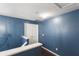 Hallway with blue walls and white trim, showing doors, flooring and an overhead view of the stairs at 110 Wekiva Pointe Cir, Apopka, FL 32712