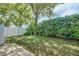Lush backyard with green grass and mature landscaping at 4536 Barrister Dr, Clermont, FL 34711
