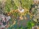 Aerial view showcases a detached garage, surrounded by lush greenery and mature landscaping at 719 Se 24Th St, Ocala, FL 34471