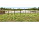 A serene backyard view featuring a fenced-in pond area, perfect for enjoying nature at 750 Sterling Spring Rd, Orlando, FL 32828