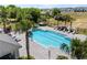 Beautiful pool with lounge chairs and palm trees for resort-style relaxation at 808 Grandin St, Davenport, FL 33837