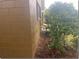 Side view of the home showing brick veneer and landscaping at 1415 Meadowlark St, Longwood, FL 32750