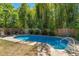 Relaxing backyard pool surrounded by lush landscaping and a wooden fence, perfect for enjoying sunny days and outdoor recreation at 1638 Mount Vernon St, Orlando, FL 32803