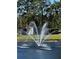 A serene fountain in a community pond, creating a calming ambiance with lush greenery in the background at 4251 Pinebark Ave # 17-3, Orlando, FL 32811