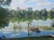 A tranquil lake view with a swan nesting on the water, reflecting the sky and surrounding trees at 1000 Elmwood St, Orlando, FL 32801