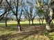 Picturesque backyard view with mature trees and a serene pond, offering a peaceful and scenic outdoor space at 2014 Applegate Dr, Ocoee, FL 34761