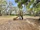 A fun playground slide for children, surrounded by mature landscaping within the community at 2014 Applegate Dr, Ocoee, FL 34761