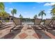 Lounge chairs on a spacious resort pool deck with palm trees at 4500 Alberto Cir, Kissimmee, FL 34746