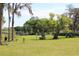 Spacious backyard with a green lawn and scattered trees at 5870 Cypress Shores Ct, Orlando, FL 32839