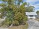 Well-maintained home with a driveway and large tree providing shade and curb appeal at 2829 Aloma Ave, Winter Park, FL 32792