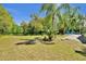 Backyard showcasing the lush landscaping and private setting, creating a serene outdoor oasis at 245 Country Circle E Dr, Port Orange, FL 32128