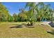 Expansive backyard featuring lush greenery and mature trees, offering privacy and space at 245 Country Circle E Dr, Port Orange, FL 32128