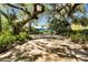 Outdoor patio area shaded by mature trees and tropical foliage offers a relaxing space to relax or dine at 245 Country Circle E Dr, Port Orange, FL 32128