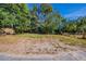 Spacious backyard area surrounded by lush trees and a wooden fence, offering privacy and natural beauty at 4121 Caywood Cir, Orlando, FL 32810