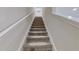 Carpeted staircase featuring white trim, perfect for transitioning between floors at 4512 Sparkling Shell Ave, Kissimmee, FL 34746