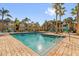 Community swimming pool with palm trees and lounge chairs offering a resort-style living experience at 1013 S Hiawassee Rd # 3628, Orlando, FL 32835