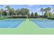 Well-maintained tennis courts surrounded by lush landscaping offer a picturesque setting for recreational play and exercise at 1628 Thetford Cir, Orlando, FL 32824