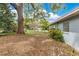 Large backyard with mature trees and landscaping offers a private outdoor retreat at 3107 Troy Dr, Orlando, FL 32806