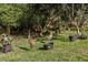 Spacious backyard with lush trees and potted plants and a visiting pair of sandhill cranes at 3893 Wind Dancer Cir, St Cloud, FL 34772