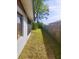 A grassy backyard with a wood fence offers a private outdoor space at 1011 Beulah Dr, Edgewater, FL 32132