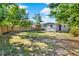 Spacious backyard with a new wooden fence, grass, and mature trees at 1179 Seminole St, Clermont, FL 34711