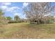 Spacious backyard with mature tree and green lawn at 14325 Golden View Dr, Grand Island, FL 32735