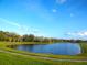 Scenic pond view with green grass and trees at 1750 Morning Sky Dr, Winter Garden, FL 34787