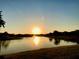 Pond at sunset with palm trees and still reflective water at 193 Lansbrook Ct, Ocoee, FL 34761