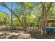 View of the property's gated entrance through a treed canopy offering privacy and a rustic charm at 3149 Scrub Oak Trl, Oviedo, FL 32765