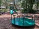Fun playground featuring a slide, merry-go-round, and shaded by mature trees for endless outdoor adventures at 9676 Wild Oak Dr, Windermere, FL 34786